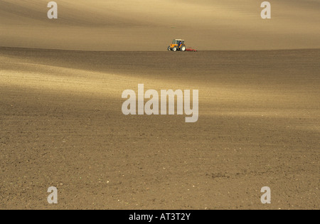 Aratura in Auvergne. Francia Foto Stock