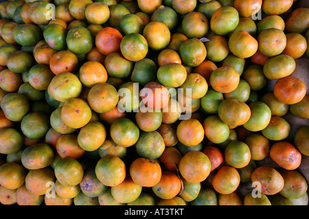 I frutti sono colombiani esportazione prodotti soprattutto le banane e le arance sono rinomati prodotti di esportazione Foto Stock