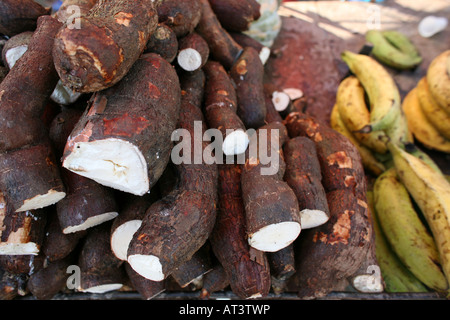 I frutti sono colombiani esportazione prodotti soprattutto le banane e le arance sono rinomati prodotti di esportazione Foto Stock