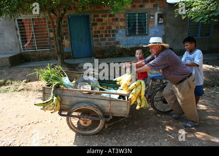 I frutti sono colombiana per esportazione prodotti soprattutto le banane e le arance sono wellknown Foto Stock