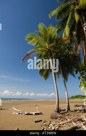 Costa Rica Uvita Parque Nacional Marino Bellena beach Foto Stock