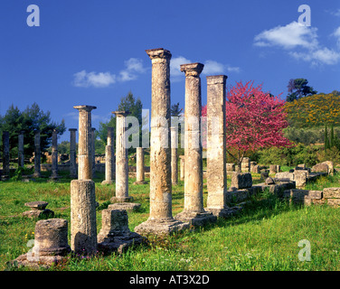 GR - Peloponneso: Il Palaestra a Olympia Foto Stock