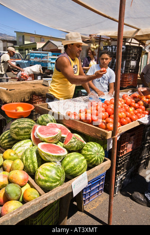Costa Rica Cartago Parque San Rafael uomo del mercato dei pomodori di vendita Foto Stock