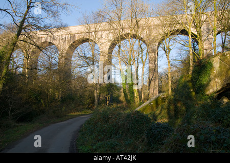 Vista di Luxulyan Aquaduct, Luxulyan Valley, St Austell, Cornwall Foto Stock