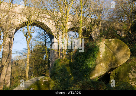 Vista di Luxulyan Aquaduct, Luxulyan Valley, St Austell, Cornwall Foto Stock