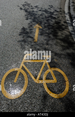 Giallo bicicletta firmare con la freccia dipinta su strada bagnata. Foto Stock