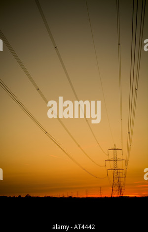 Tralicci di energia elettrica al tramonto la distribuzione national grid ac dc elettrico potenza elettrica generano calore luce di corrente ad alta tensione Foto Stock