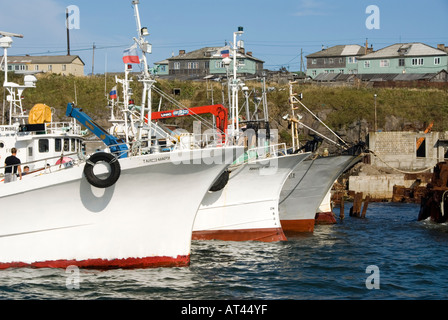 Barche da pesca nel porto di Yuzhno Kurilsk Kunashir Island nelle isole Curili Estremo Oriente Russo Foto Stock