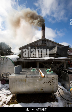 Il legno di fumo e vapori si riversa il nostro di zucchero a casa di Barrington, New Hampshire. Lo zucchero Shack. Foto Stock