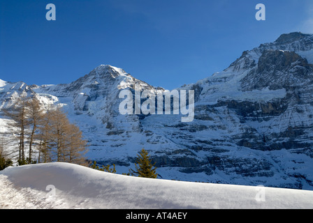 Alpi europee vista dalle Ferrovie della Jungfrau Top d'Europa - Monch Peak Foto Stock