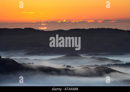 Vista da Te Mata Peak e Early Morning Mist Hawkes Bay Isola del nord della Nuova Zelanda Foto Stock