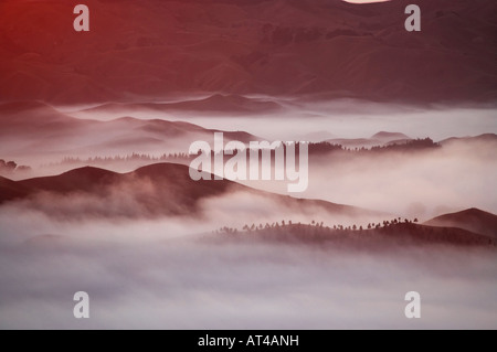 Vista da Te Mata Peak e Early Morning Mist Hawkes Bay Isola del nord della Nuova Zelanda Foto Stock