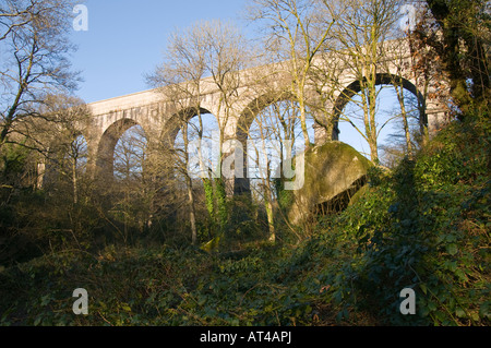 Vista di Luxulyan Aquaduct, Luxulyan Valley, St Austell, Cornwall Foto Stock