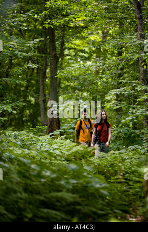 Escursioni a piedi lungo il sentiero in Vermont montagne verdi. Eden, Vermont. Foto Stock