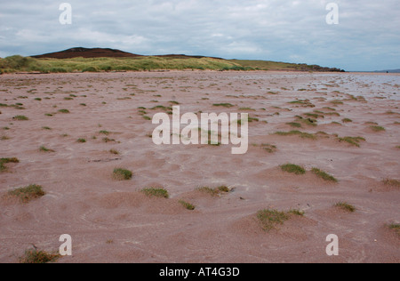 Le patch di erba che cresce in sabbia al fine di Achnahaird baia sotto l alta marea. Foto Stock