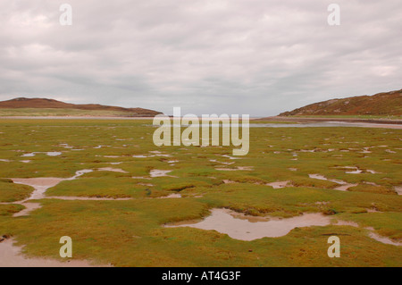 Le patch di erba che cresce in sabbia al fine di Achnahaird baia sotto l alta marea. Foto Stock