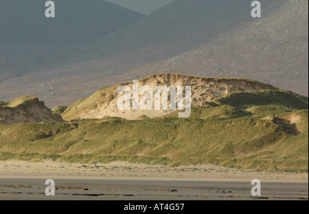 Enormi dune di sabbia sulla costa atlantica delle Ebridi Esterne sono tenuti in posizione da Marram Grass Foto Stock