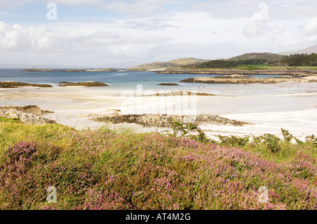 Heather dune e spiagge di sabbia bianca a Arisaig village di Lochaber, a sud di Mallaig, nelle Highlands occidentali, Scotland, Regno Unito Foto Stock