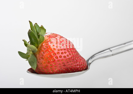 Singola fragola rossa matura su un cucchiaio con gambo su sfondo bianco primo piano vista frontale orizzontale nessuno colore concetto nessuno ad alta risoluzione Foto Stock