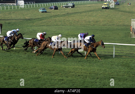 Corsa di cavalli a Stratford gare, Warwickshire, Inghilterra, Regno Unito Foto Stock