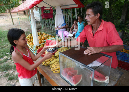 I frutti sono colombiana per esportazione prodotti soprattutto le banane e le arance sono wellknown Foto Stock