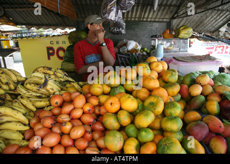 I frutti sono colombiana per esportazione prodotti soprattutto le banane e le arance sono wellknown Foto Stock