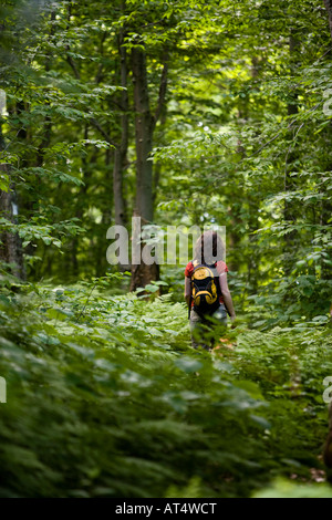 Escursioni a piedi lungo il sentiero in Vermont montagne verdi. Eden, Vermont. Foto Stock