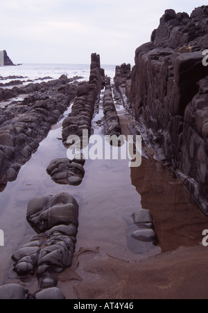 Inclinato ed eroso strati di roccia a Hartland Quay sulla costa atlantica del North Devon Foto Stock