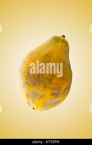 Un insieme unico papaya sulla corrispondenza pallido peach sfondo colorato Foto Stock