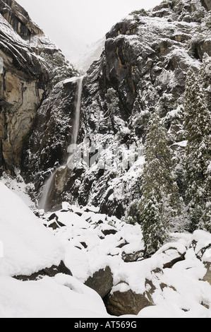 Abbassare Yosemite Falls l'ultima delle tre sezioni di Yosemite Falls è circondato da bianchi dopo la nevicata. Foto Stock