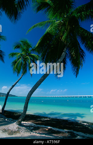 Bahia Honda State Park Florida Keys USA Foto Stock