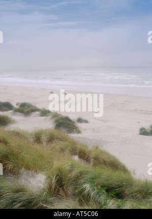 Passeggiata a cavallo sulla spiaggia Oregon USA Foto Stock