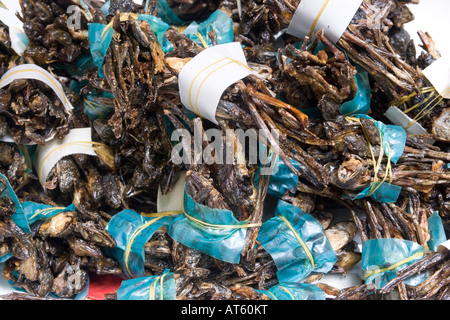Profonda rane fritte Foto Stock