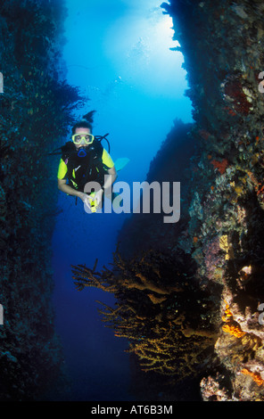 DIver Esplora drammatica profonda spaccatura sito di immersioni isola di Pemba Tanzania Foto Stock