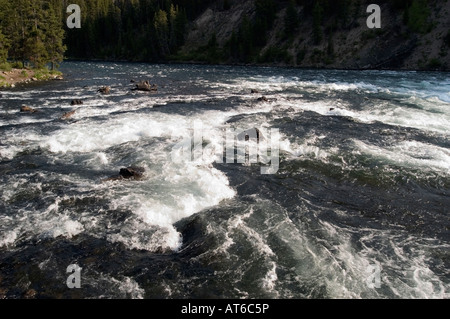 L'acqua precipita su LeHardy Rapids sul fiume Yellowstone nel Parco Nazionale di Yellowstone, WY. Foto Stock