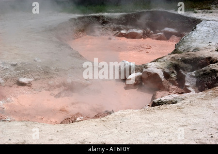 Le alghe fanno un hot springs rosso in basso Geyser Basin nel Parco Nazionale di Yellowstone, WY. Foto Stock
