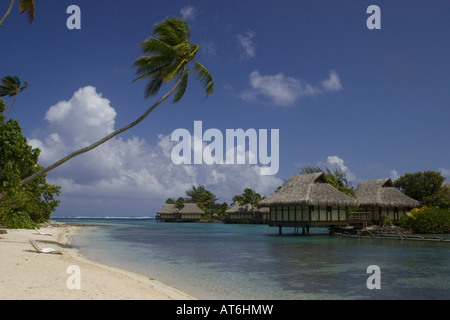 Vedute panoramiche nei mari del sud Isola di Moorea Polinesia Francese nell'Oceano Pacifico del Sud Foto Stock