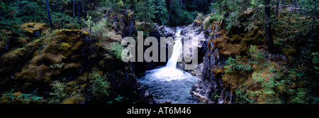 Cascata, Little Qualicum Falls Provincial Park vicino a Parksville, Isola di Vancouver, BC, British Columbia, Canada Foto Stock