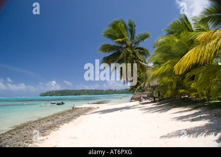 Vedute panoramiche dell'Hotel Intercontinental nei mari del sud Isola di Moorea Polinesia Francese nell'Oceano Pacifico del Sud Foto Stock