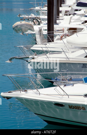 Marina yacht barche acqua di mare playboy airlee relax beach queensland Proserpina Airlee spiaggia nave barca marina yacht cielo blu tropico Foto Stock