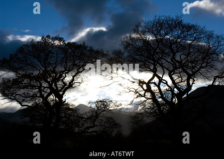 Una vista generale del Distretto del Lago neatr raffigurato a Windermere in Cumbria Qui potete vedere la silhouette di una drammatica notte Foto Stock