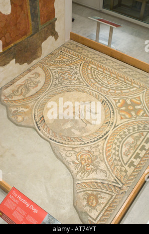 I cani da caccia mosaico romano al Corinium Museum a Cirencester,Gloucestershire, Regno Unito Foto Stock