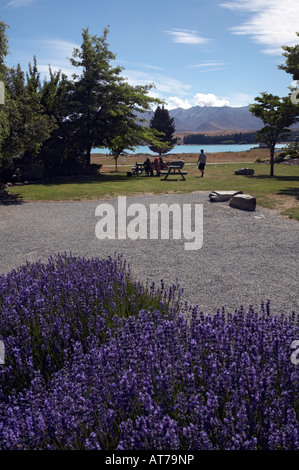 Posto meraviglioso per un picnic - alla riva del lago di Lago Tekapo, Isola del Sud, Nuova Zelanda Foto Stock