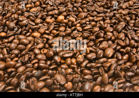 L'espresso piccoli chicchi di caffè coffeebeans intaglio molto pila mazzetto accumulo di heap makro macro close up closeup Foto Stock