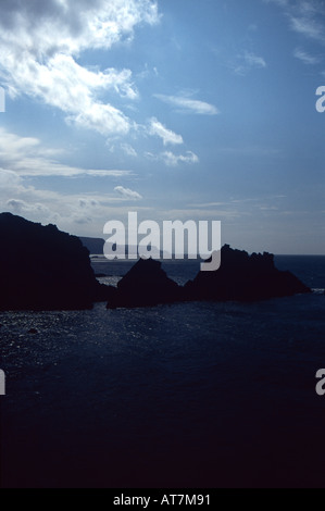 Affioramenti di roccia a Hartland Quay, North Devon Coast Foto Stock