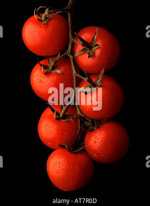 I pomodori. Foto da Paddy McGuinness paddymcguinness Foto Stock