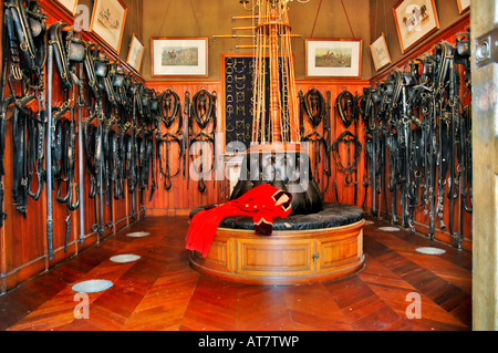 "La Valle della Loira' Francia equitazione sui cavi in corrispondenza di un castello di Chaumont Foto Stock