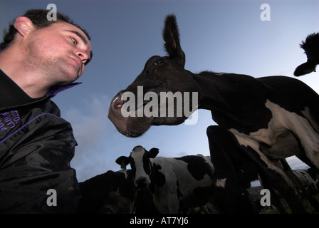 Agricoltura Agricoltura industria lattiero-casearia capo orientale del Sud Africa Foto Stock