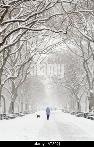 Donna che cammina il suo cane durante una tempesta di neve presso il Centro Commerciale di Central Park di New York Foto Stock