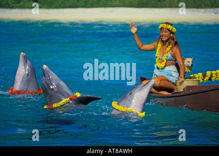 Tre lei-drappeggiato delfini eseguire per una ondulazione donna polinesiano vestito in costumi locali e la plumeria lei su una barca in mare la vita Foto Stock